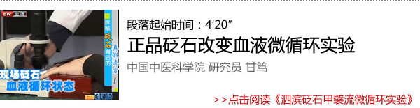 泗濱砭石甲襞流微循環(huán)實(shí)驗(yàn)