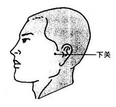 下關(guān)穴位圖